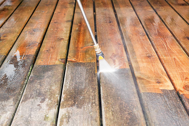 Best Solar Panel Cleaning  in Marion, AL